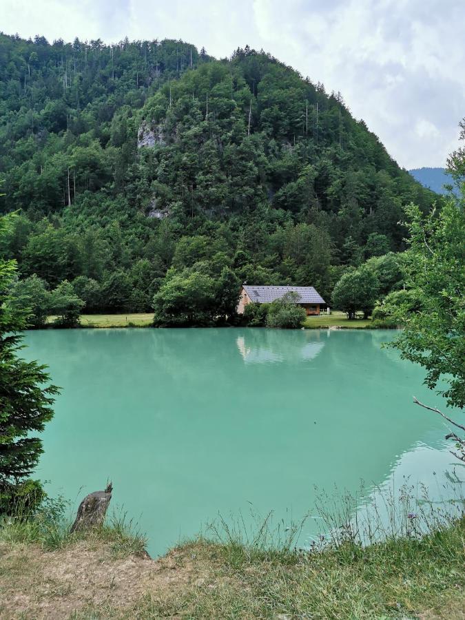 Apartment Petra Mojstrana Bagian luar foto