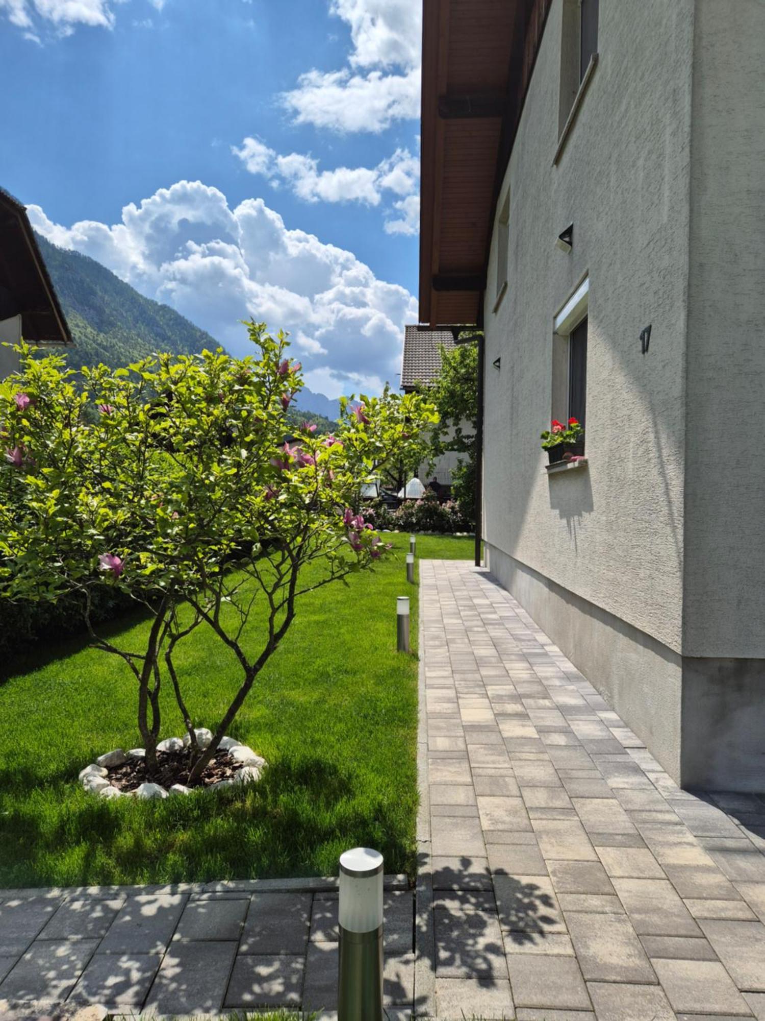 Apartment Petra Mojstrana Bagian luar foto